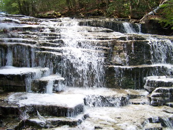 picture taken during a hike