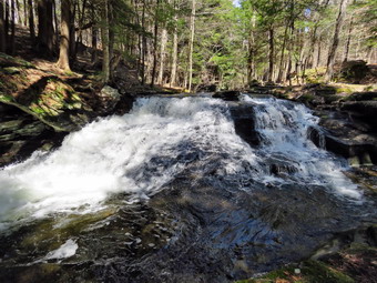 picture taken during a hike