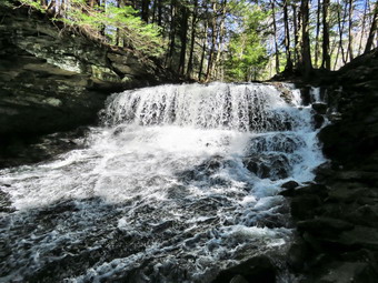 picture taken during a hike