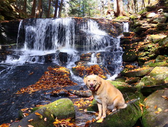 picture taken during a hike