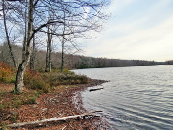 picture taken during a hike