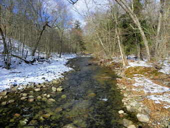 picture taken during a hike