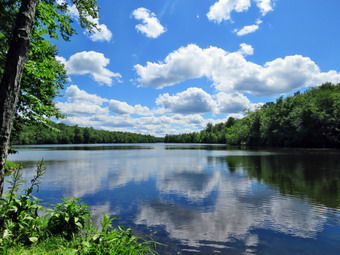 picture taken during a hike