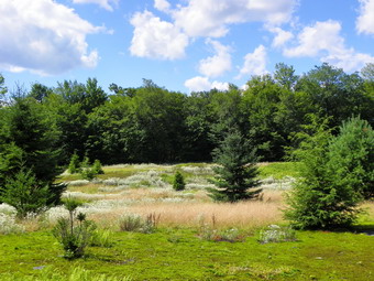 picture taken during a hike