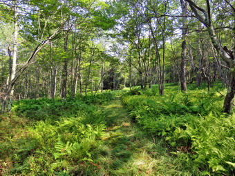 picture taken during a hike