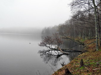 picture taken during a hike