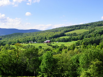 picture taken during a hike