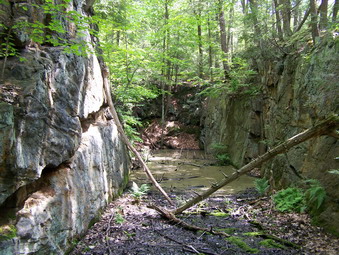 picture taken during a hike