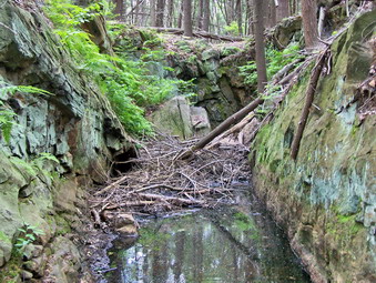 picture taken during a hike