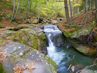 picture taken during a hike