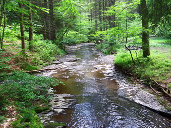 picture taken during a hike