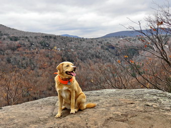 picture taken during a hike