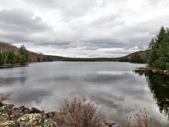 picture taken during a hike