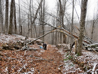 picture taken during a hike