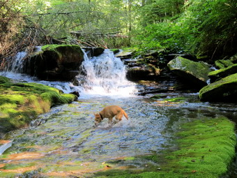 picture taken during a hike