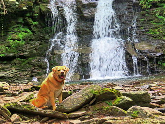 picture taken during a hike