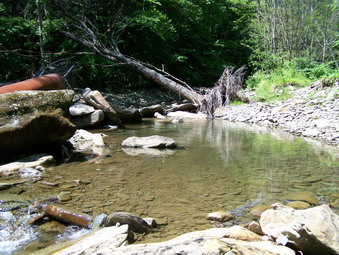 picture taken during a hike