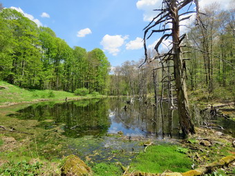 picture taken during a hike