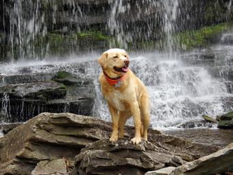 picture taken during a hike