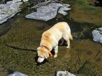 picture taken during a hike