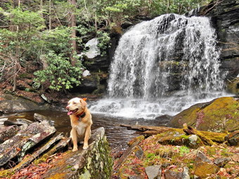 picture taken during a hike