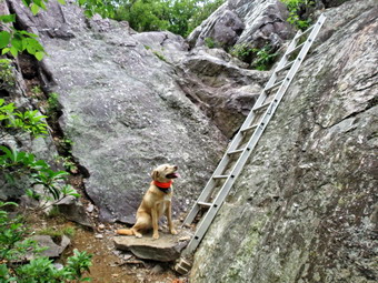 picture taken during a hike