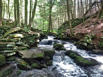 picture taken during a hike