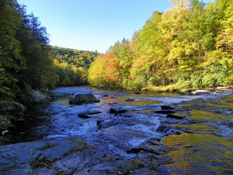 picture taken during a hike