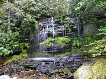 picture taken during a hike