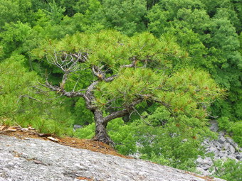 picture taken during a hike