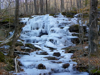 picture taken during a hike