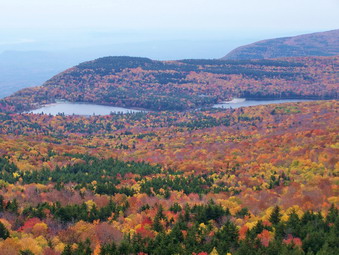 picture taken during a hike