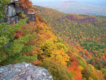 picture taken during a hike