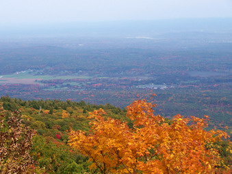 picture taken during a hike