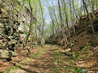 picture taken during a hike