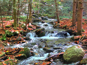 picture taken during a hike