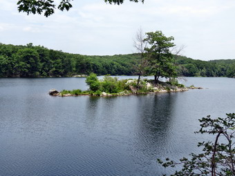 picture taken during a hike