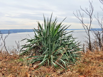 picture taken during a hike