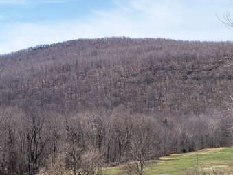 picture taken during a hike