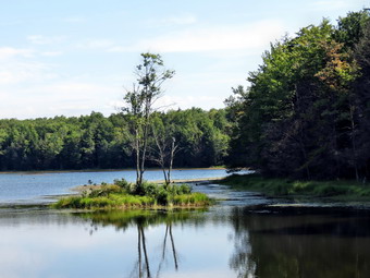 picture taken during a hike