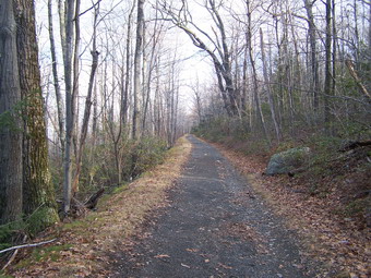 picture taken during a hike