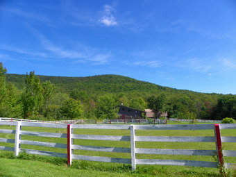 picture taken during a hike