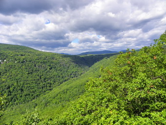 picture taken during a hike