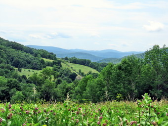 picture taken during a hike