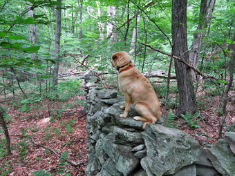 picture taken during a hike