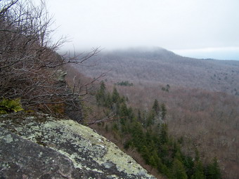 picture taken during a hike