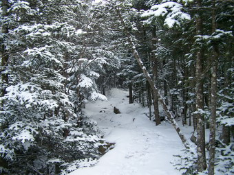 picture taken during a hike