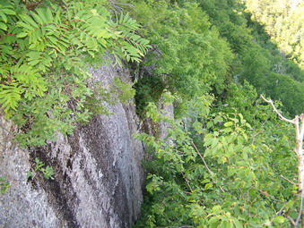 picture taken during a hike