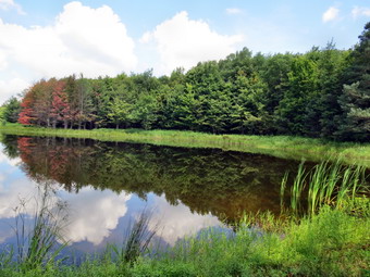 picture taken during a hike