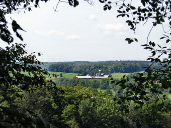 picture taken during a hike